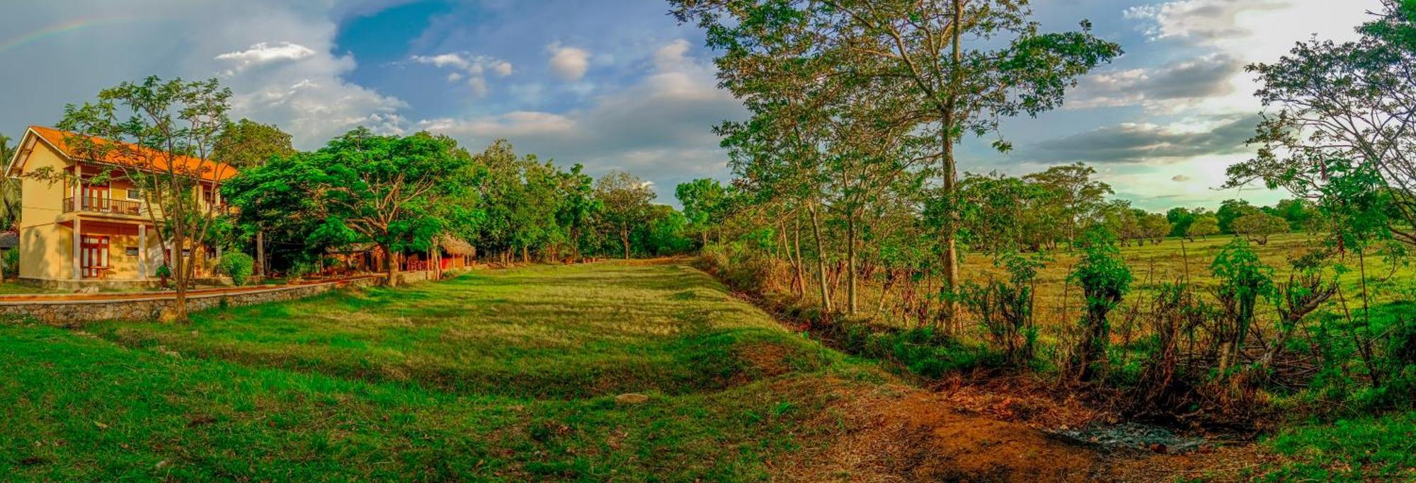 Sigiri Lanka Resort Sigiriya Exterior foto